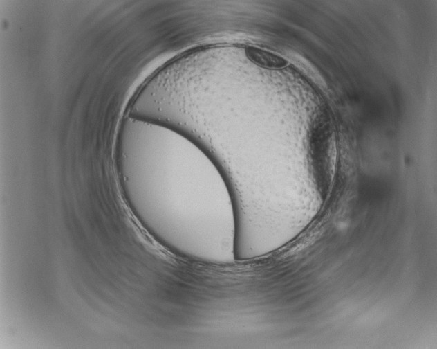 X0000069391044200605150938