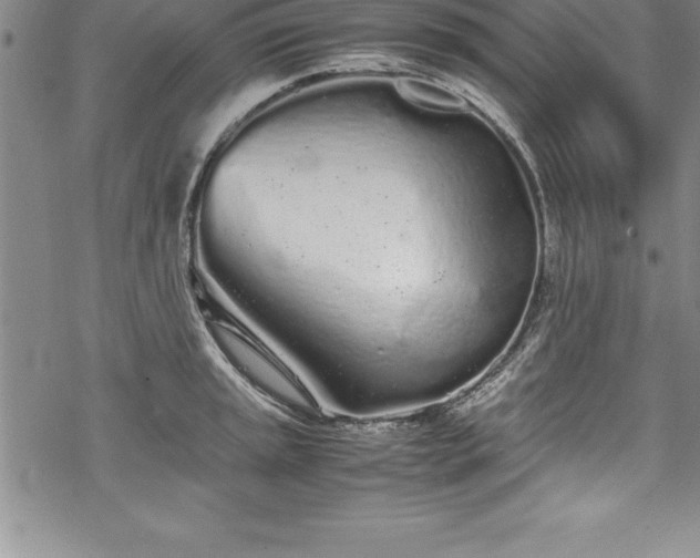 X0000069391045200605150938