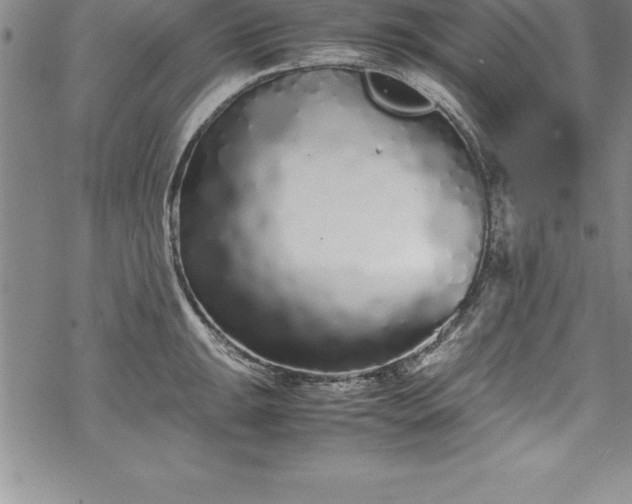 X0000069391047200605150938