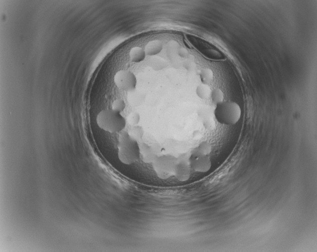 X0000069391048200605150938