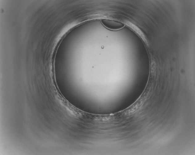 X0000069391051200605150938