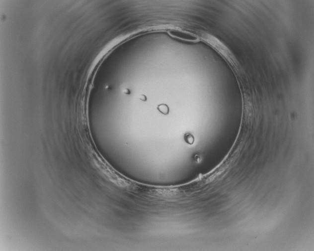 X0000069391052200605150938