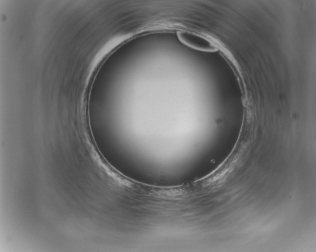 X0000069391053200605150938