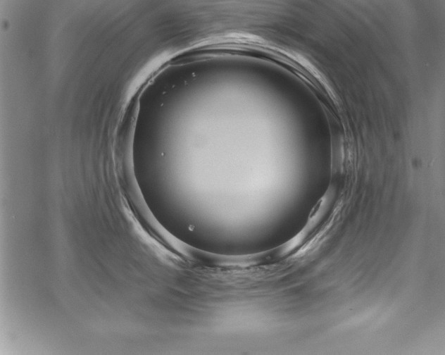 X0000069391054200605150938