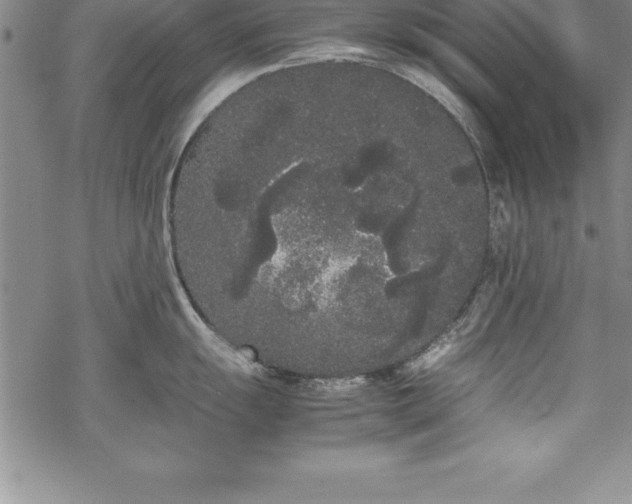 X0000069391055200605150938