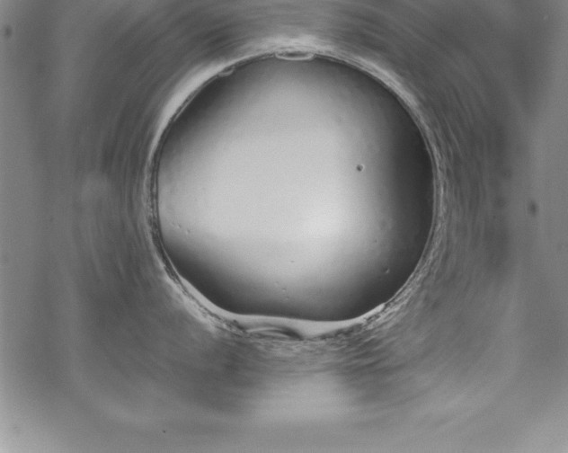 X0000069391056200605150938