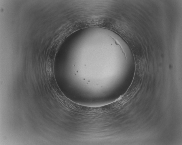 X0000069391058200605150937