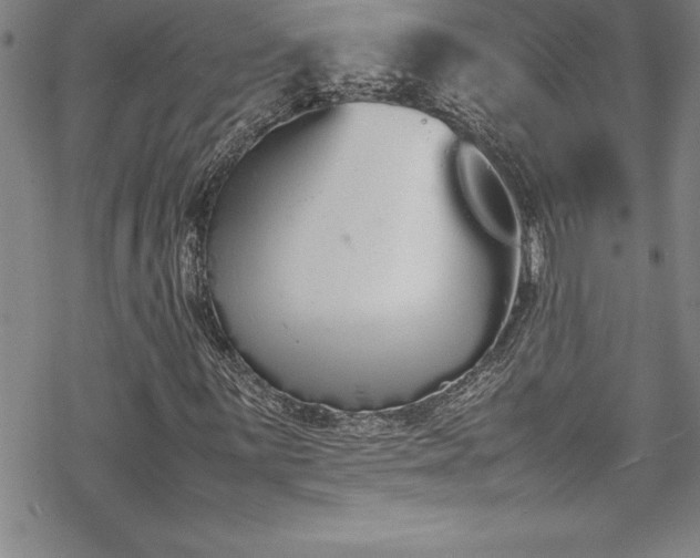 X0000069391059200605150937