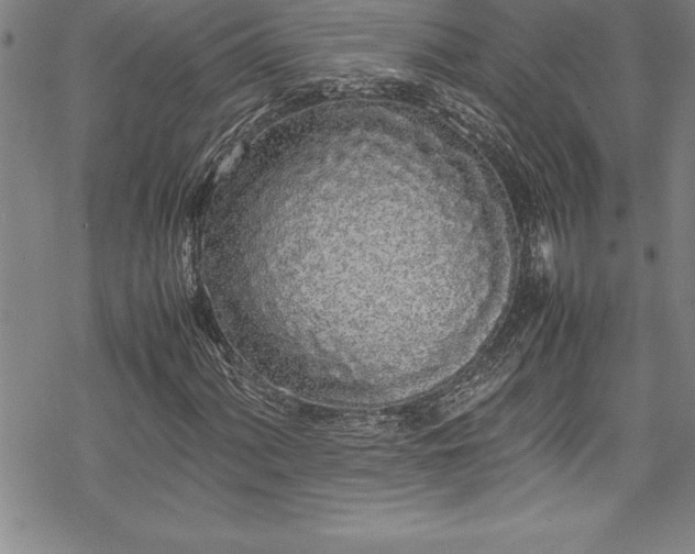 X0000069391060200605150937