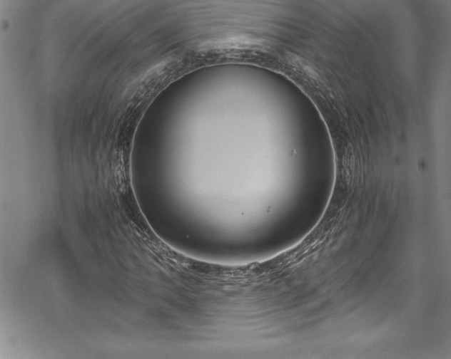 X0000069391062200605150937