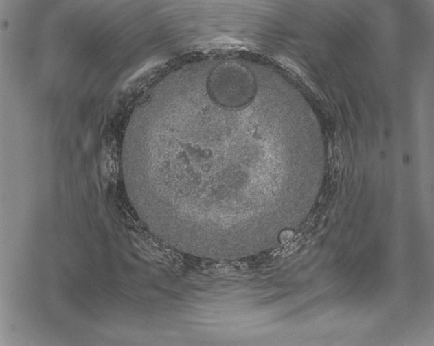 X0000069391063200605150937