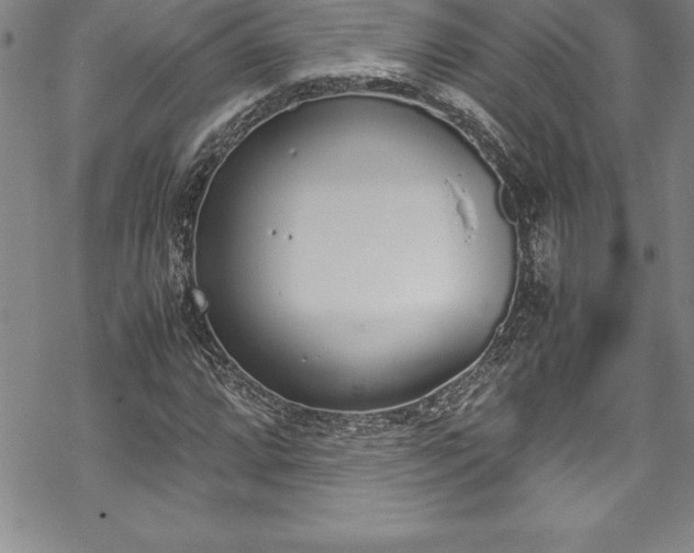 X0000069391064200605150937