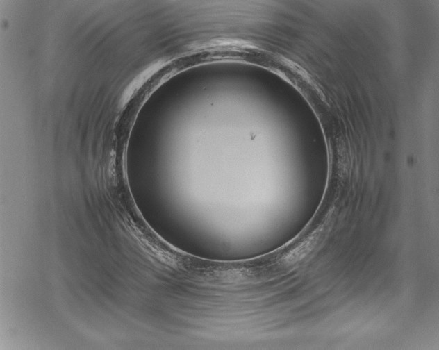 X0000069391066200605150937