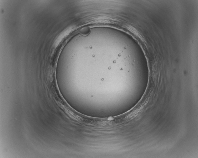 X0000069391067200605150937