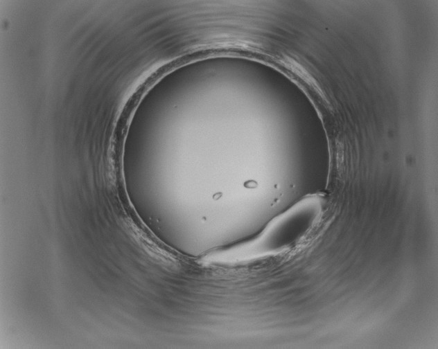 X0000069391068200605150937