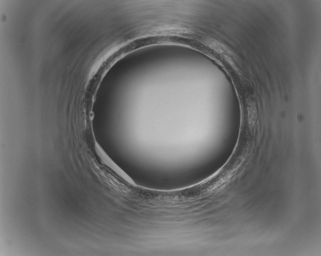 X0000069391069200605150937