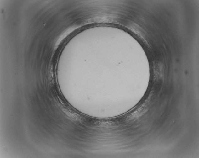 X0000069391070200605150937