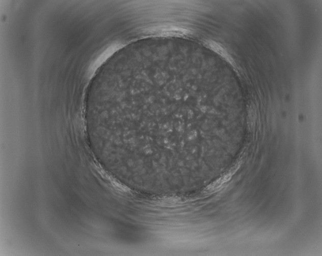 X0000069391071200605150937