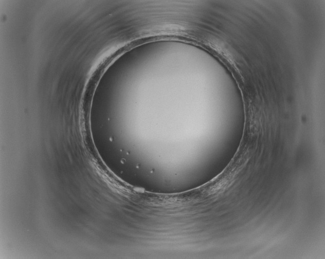 X0000069391072200605150937