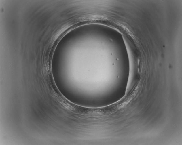 X0000069391073200605150937