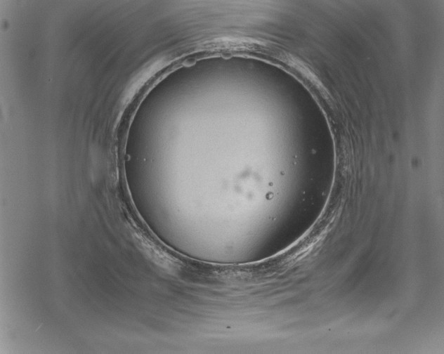 X0000069391075200605150937