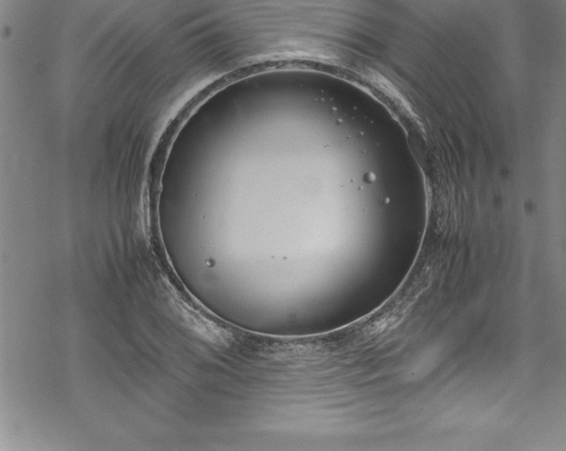 X0000069391076200605150937