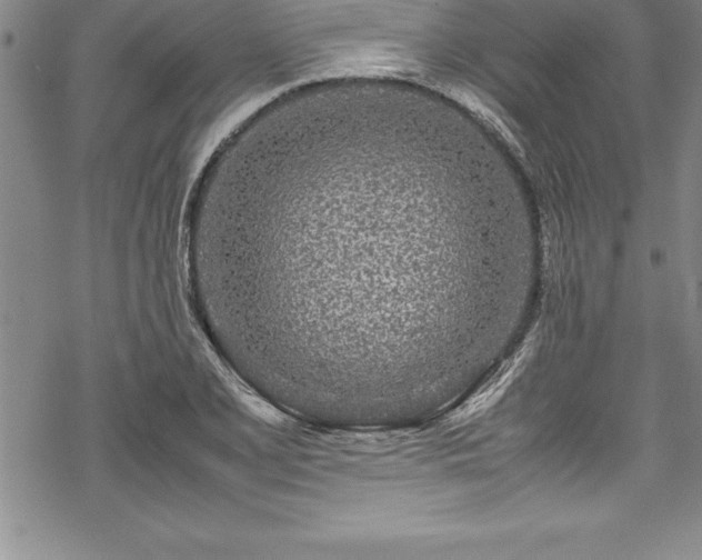 X0000069391077200605150937