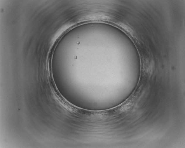 X0000069391078200605150937