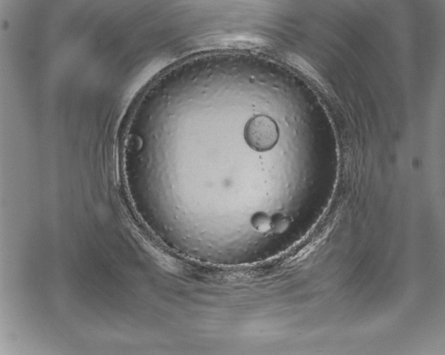 X0000069391079200605150937