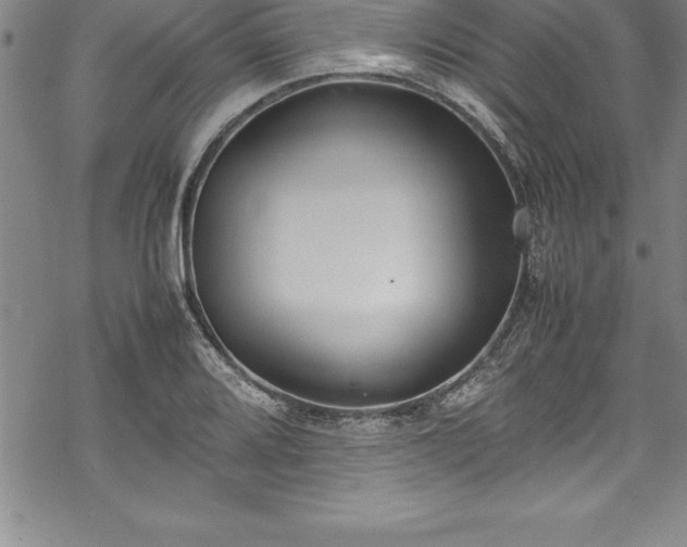 X0000069391080200605150937