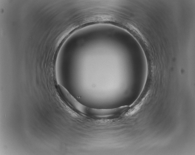 X0000069391081200605150937