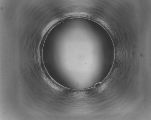 X0000069391082200605150937