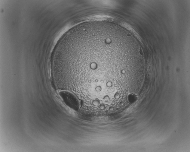 X0000069391083200605150937