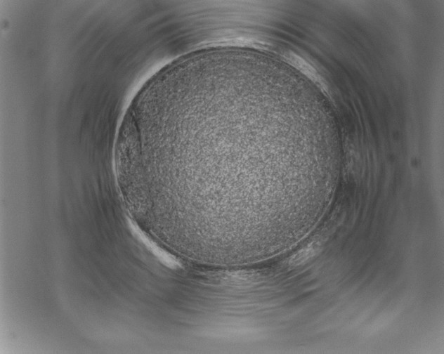 X0000069391084200605150937