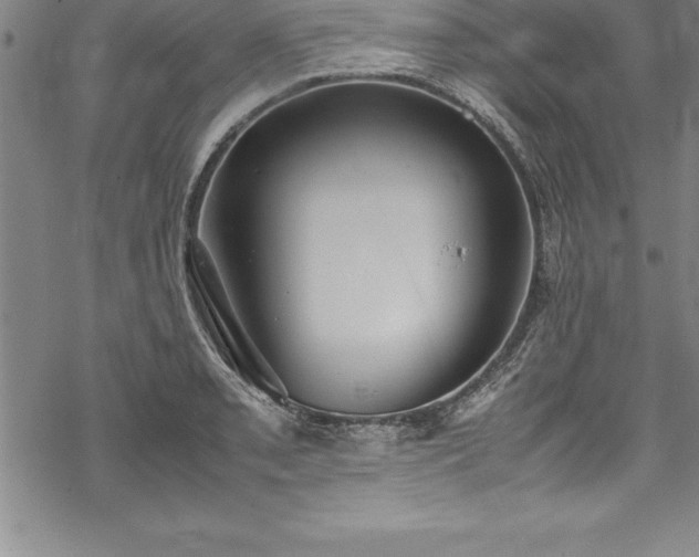 X0000069391085200605150937