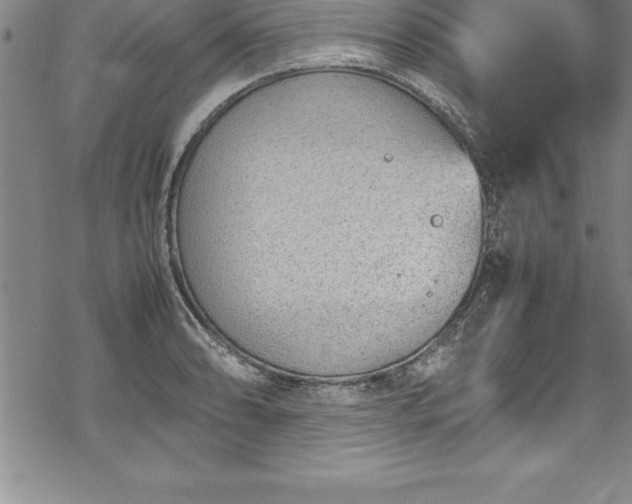 X0000069391086200605150937