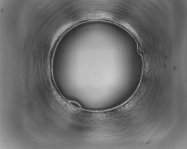 X0000069391088200605150937