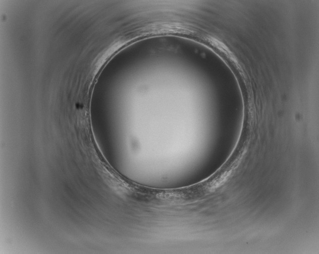 X0000069391089200605150937