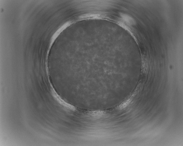 X0000069391090200605150937