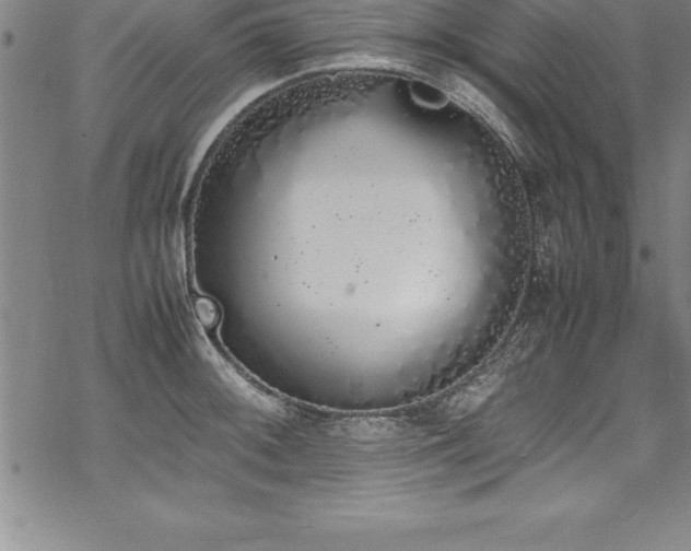 X0000069391092200605150937