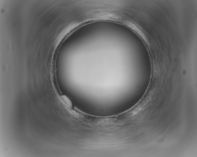 X0000069391093200605150937