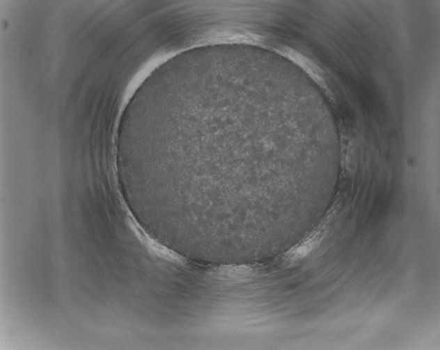 X0000069391094200605150937