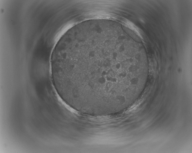 X0000069391095200605150937