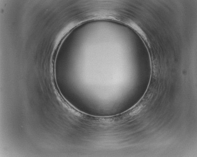 X0000069391096200605150937