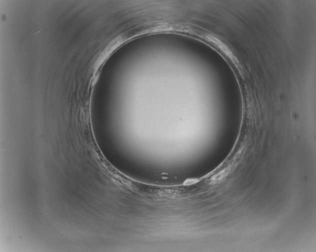 X0000069391097200605150937