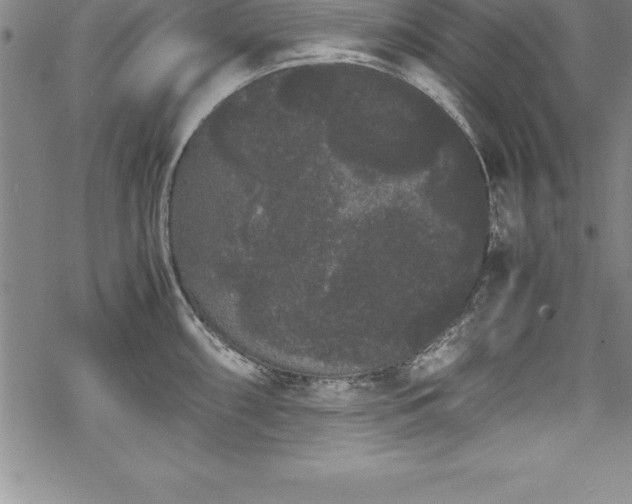 X0000069391098200605150937