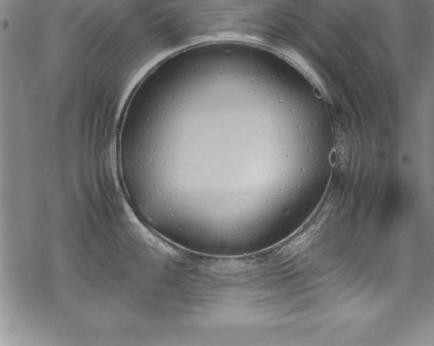 X0000069391100200605150937