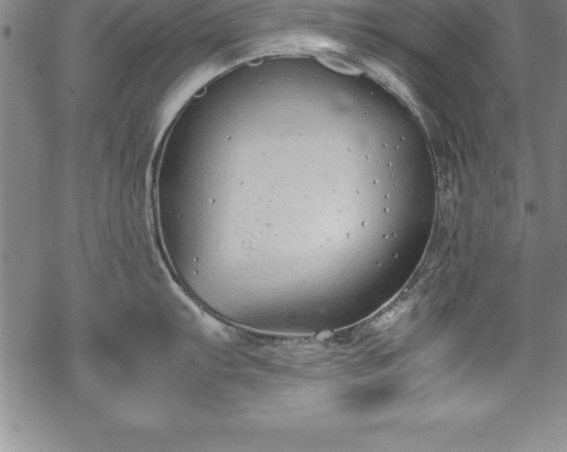 X0000069391103200605150937