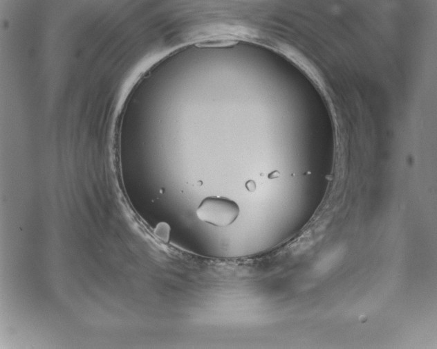 X0000069391104200605150937