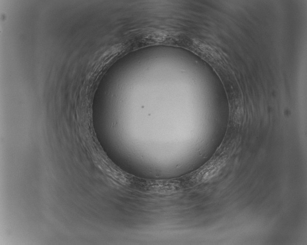 X0000069391105200605150936